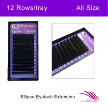 Free shipping high quality new type fashion ellipse Flat eyelash extensions 1 tray 12rows tray all