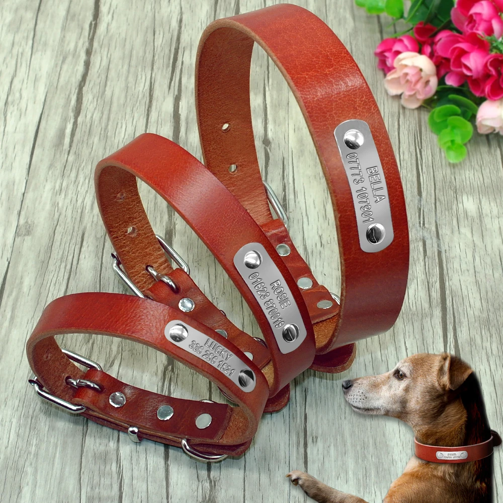 Metal Dog Collar Plate Metal Dog Collar Plate