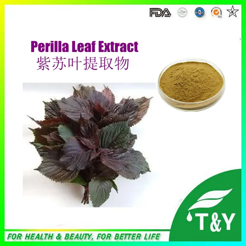 

Reasonable Price high quality Perilla Leaf Powder Extract 200g/lot