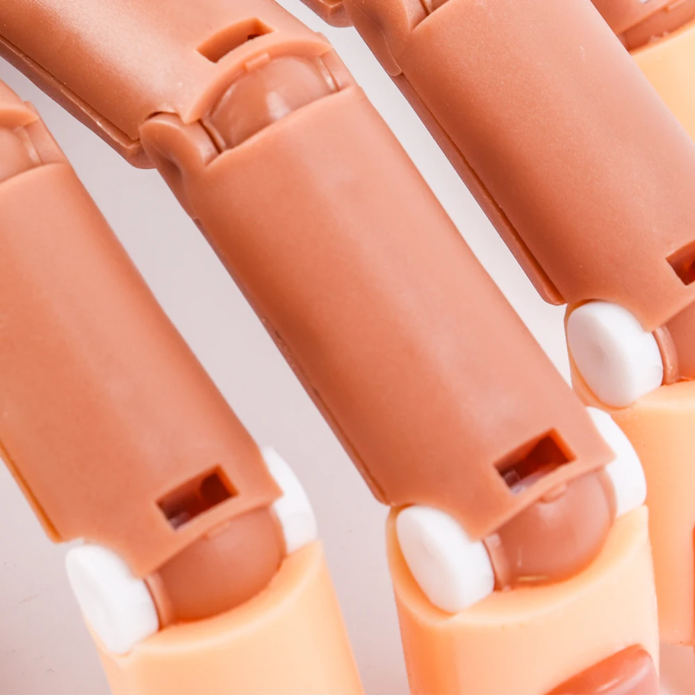 Profesional 1 práctica de mano + 100 piezas de uñas puntas de Arte de uñas herramienta de manos ajustable de Arte de uñas MODELO DE MANICURA DIY herramienta para la formación Profesional 1 práctica de mano + 100 piezas de uñas puntas de Arte de uñas herramienta de manos ajustable de Arte de uñas MODELO DE MANICURA DIY herramienta para la formación