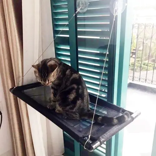 suction cup cat perch