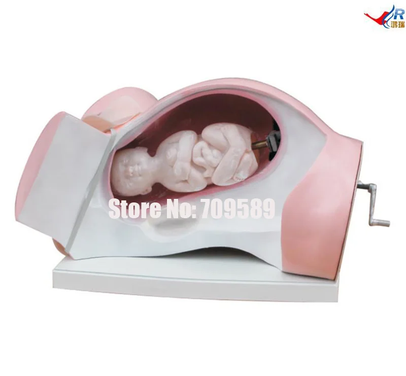 все цены на Model of Course of Delivery онлайн