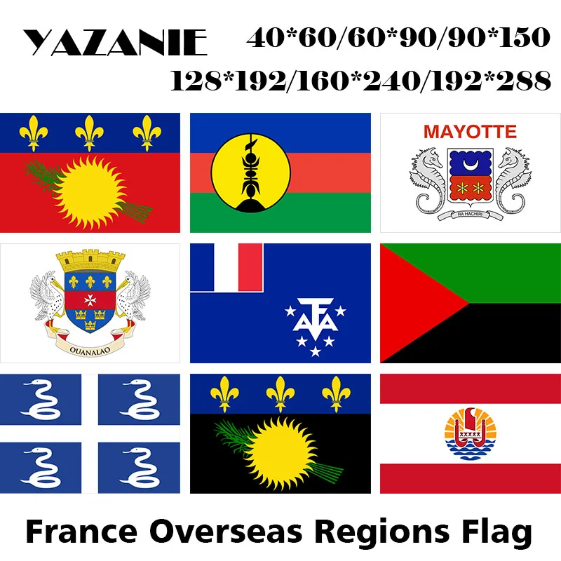 0 France Overseas regions and collectivities Flag 2