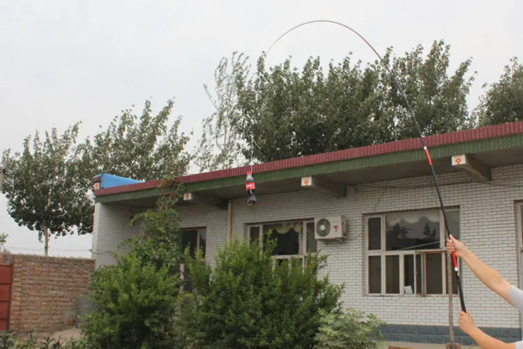 20181109_104601_012