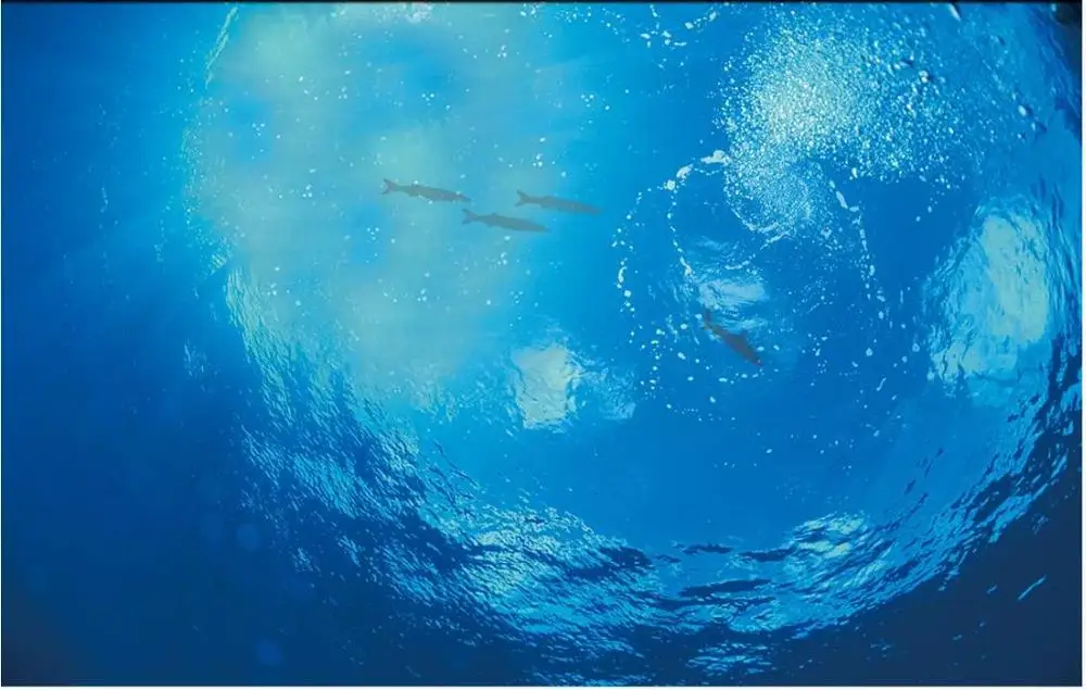 

Custom photo wallpaper ceiling murals wallpaper for walls 3 d Watercolor painting fantasy underwater world ceiling zenith mural