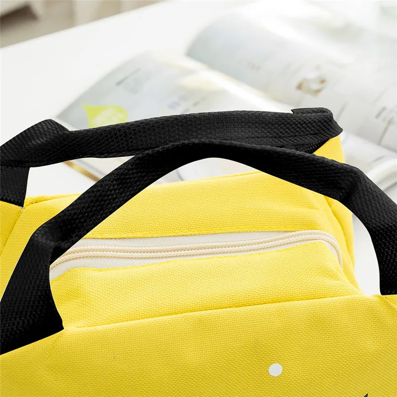 Japan Picnic Bag For Outdoor Portable Lunch Insulated Bag Waterproof Thermal Box Cooler Tote Food Beach Bags For Camping Hiking