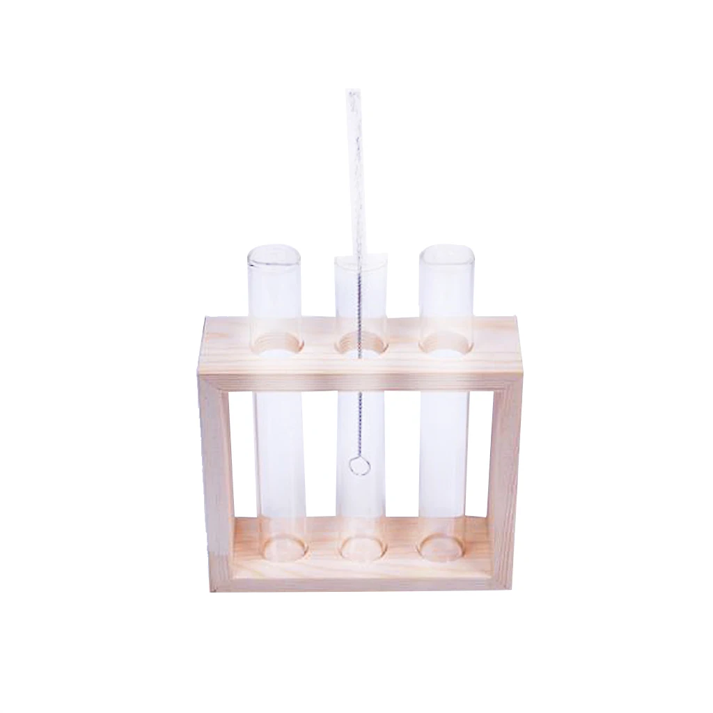 Beautiful Test Tube Glass Flowers Plant Vase Wooden Stand Holder Terrarium Container For Gift Or Home Decorate