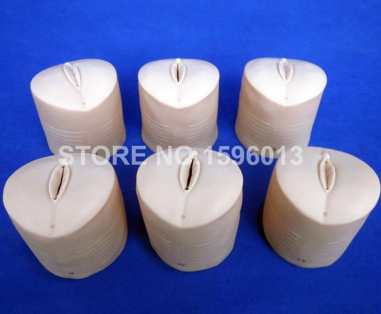 F20G K-20 K9 cervical models (13)1