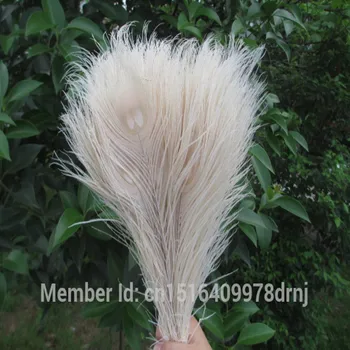 

Wholesale 100 pcs /lot beige peacock feather 25-30cm / 10-12 inch DIY stage/ceremony/wedding/home vase decoration