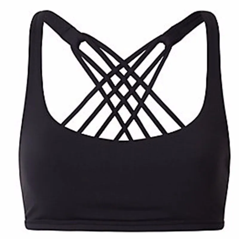 3401869354_506238324