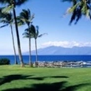 Palm trees at the coast  Ritz Carlton Hotel  Kapalua  Molokai  Maui  Hawaii  USA Poster Print (36 x 12)