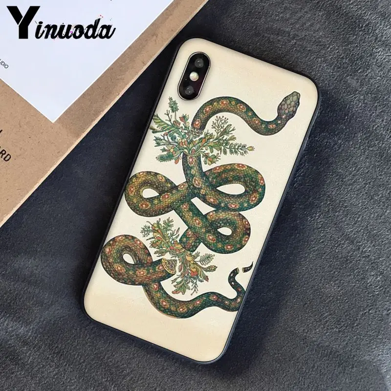 Animal The Snake and Fern