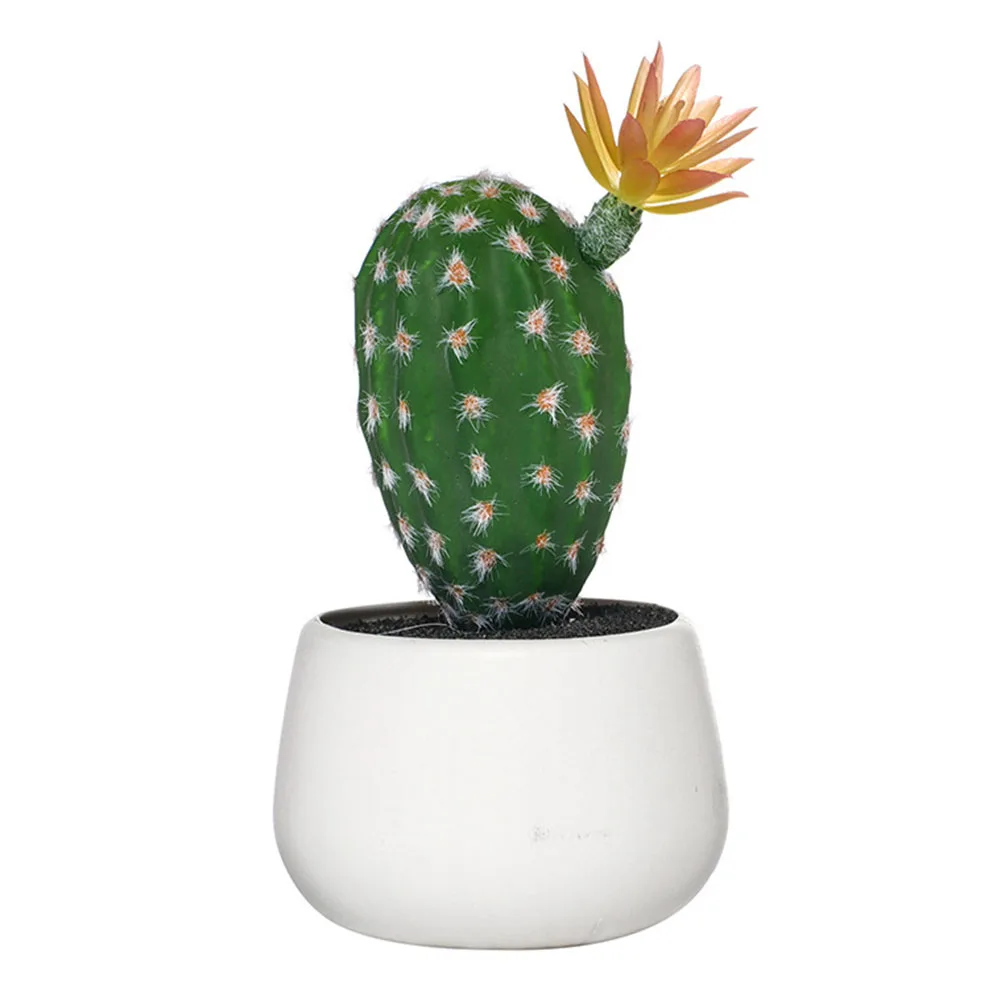 Мини Кактусы В Горшках Купить