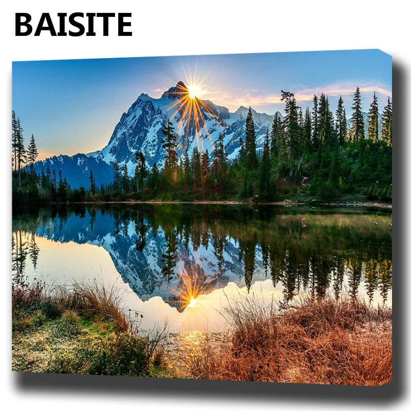 

BAISITE DIY Framed Oil Painting By Numbers Flowers Pictures Canvas Painting For Living Room Wall Art Home Decor E927