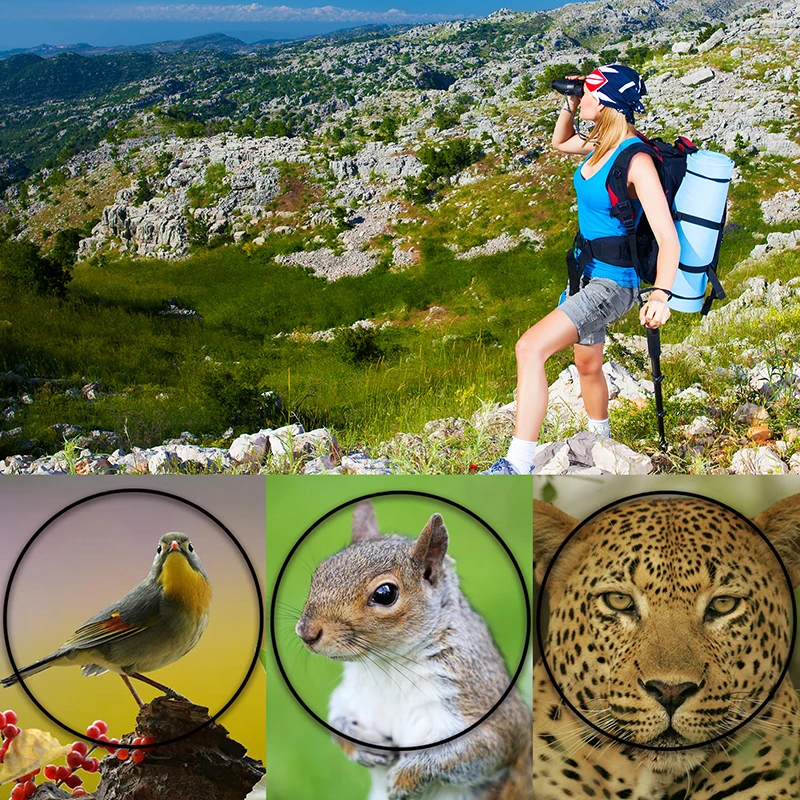 Compactos para Observação de Aves à Prova Telescópio para Viajar Scokc Binóculos Dwaterproof Água Bak4 Nitrogênio Preenchido Caça Birding 8x42 26 High Quality Ferramenta