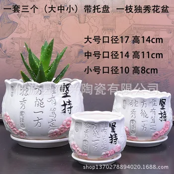 

Creative Simple Meaty Flower Pot with Tray 3 Sets of Large, Medium and Small Wavy Flower Sketch Flower Pots