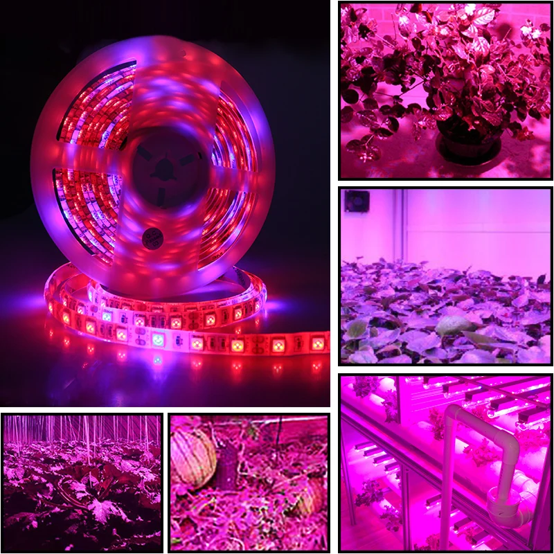 Фитолампа полного спектра с 300 светодиодами 5 м 5050 IP65 12 В|Промышленные LED-лампы| |