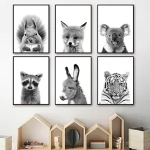 купить! Черный Белый Енот Лиса Коала Белка Wall Art Print Холст Картины Северные Плакаты И Отпечатки Лучший!