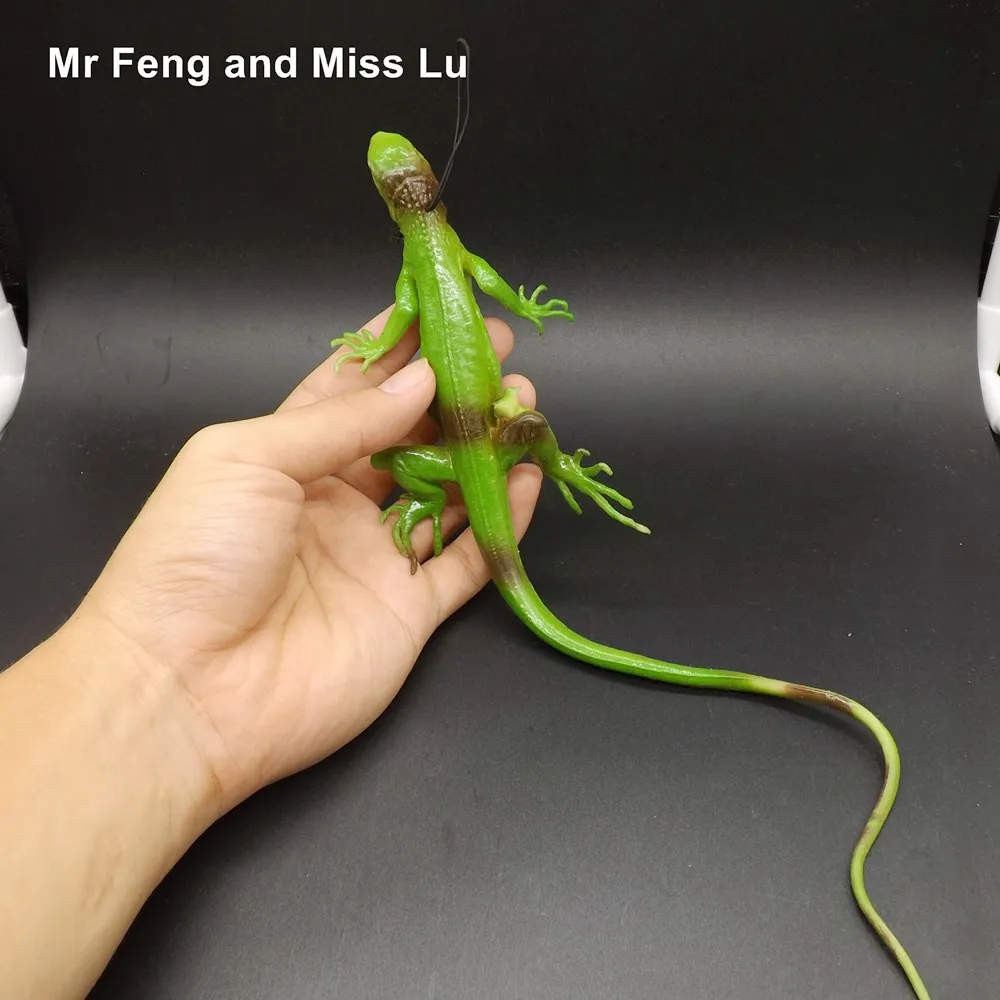 

Solid Figure Simulation Model Toy Gecko Lizard Chameleon Game Kid Education