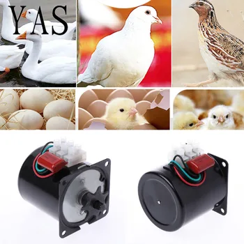 

220V AC eggs Turner Motor Incubator Engine Reversible Geared Components 2.5r/min Temperature Control Products Habitat