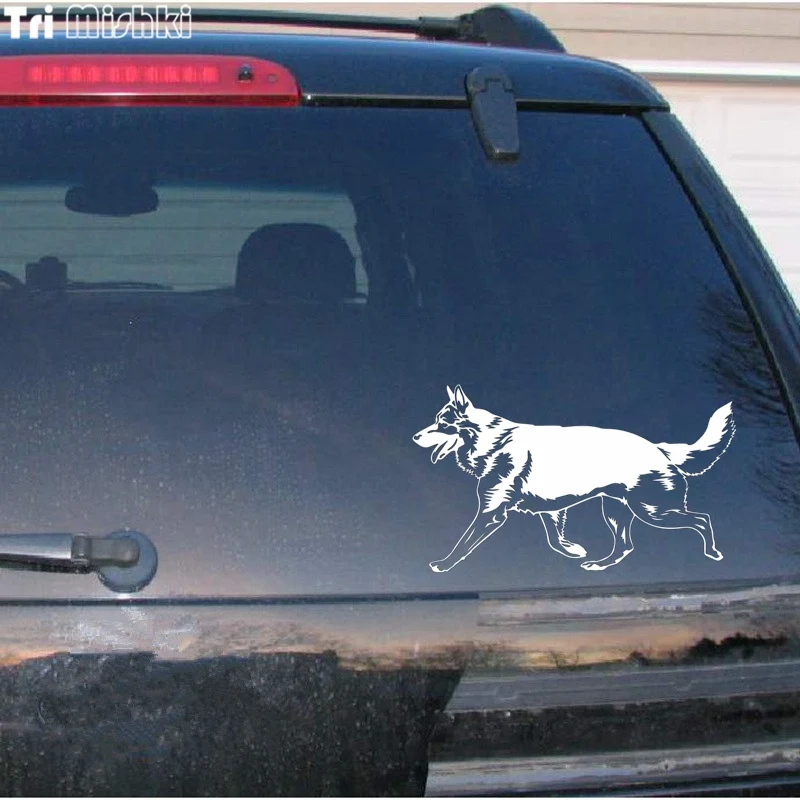 car-window__