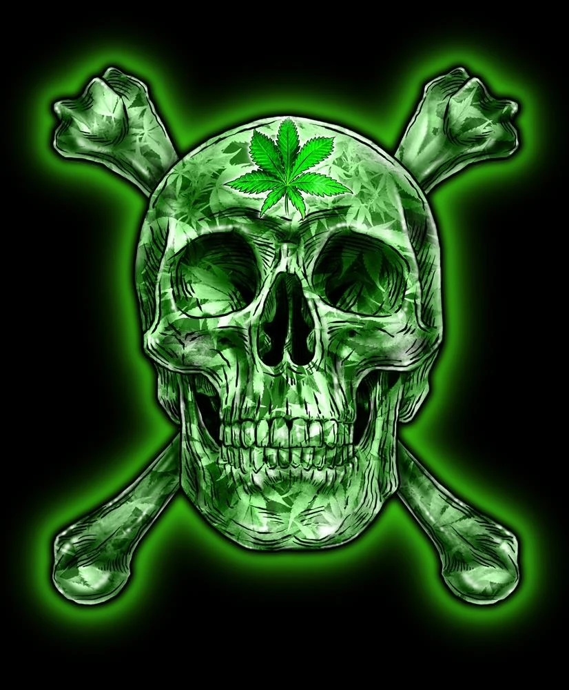 GREEN SKULL AND CROSS BONES POT LEAF SHORT SLEEVE TEE SHIRT adult SIZE X-LARGE