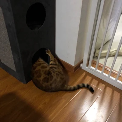 O1CN011zblBKSrSEpuD3d_!!0-rate.jpg_400x400