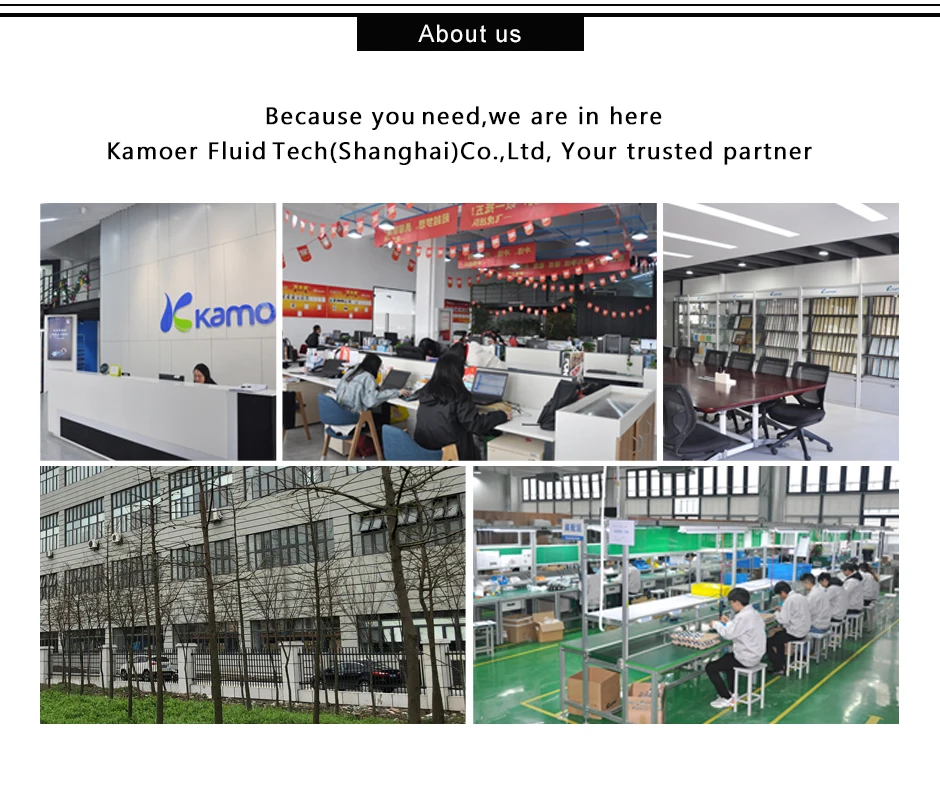Kamoer KFS перистальтический насос для жидкости с бесщеточным двигателем 12 В/24 В, насос для воды и аквариума