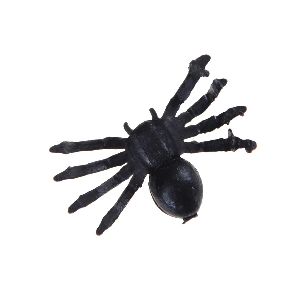 plastic spider toy