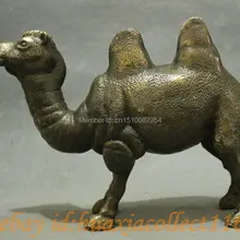 Китайский Народный Классический Медь Бронза прекрасный пустыня ламы верблюд Искусство Статуи Животных