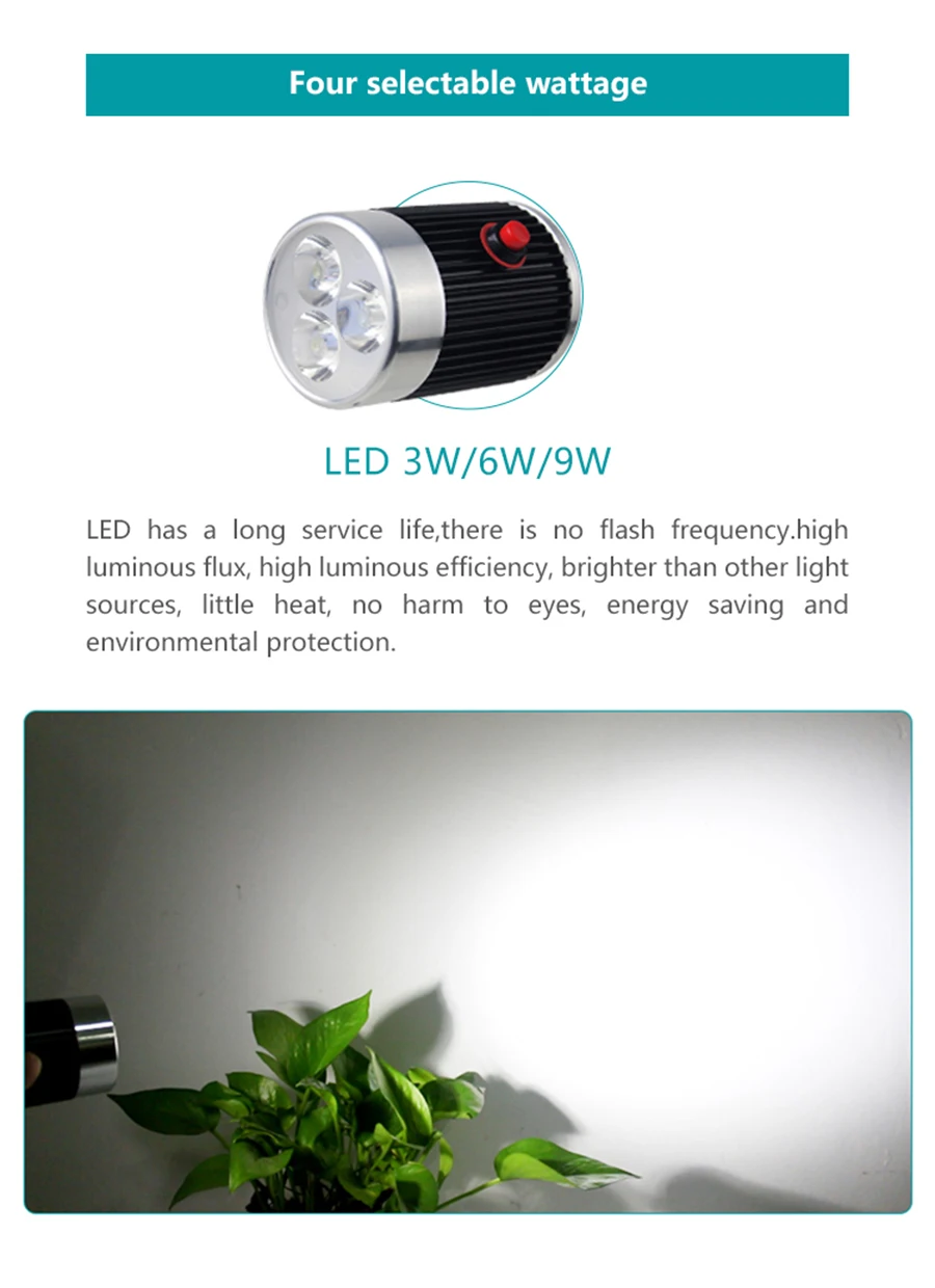 LED369W_04