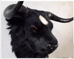  WYZHY Handicrafts simulation yak head animal head indoor pendant camera props crafts 56X38X50cm