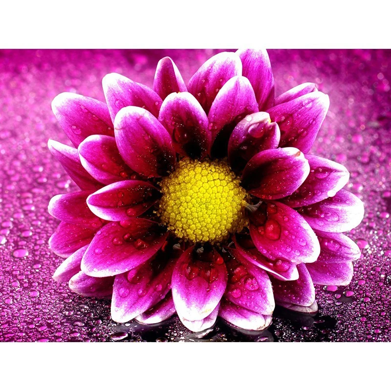 Diamond Painting Accessories 5D Full Round Diamond Embroidery Flowers Bead Work Mosaic Rhinestone DIY Factory Direct