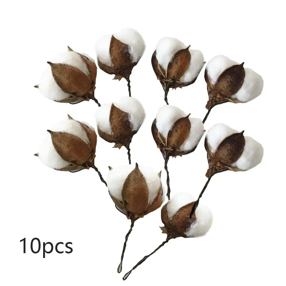 

10pcs/Set Single Head Dried Flower Cotton With Short Branch Preserved Fresh Flower Artificial Cotton Branch DIY Material Decorat