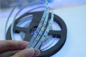 

[Seven Neon]Free DHL shipping 100meters DC12V 6W 3014 non-waterproof 60Leds/meter white/warm white LED SMD Flexible Strip Light