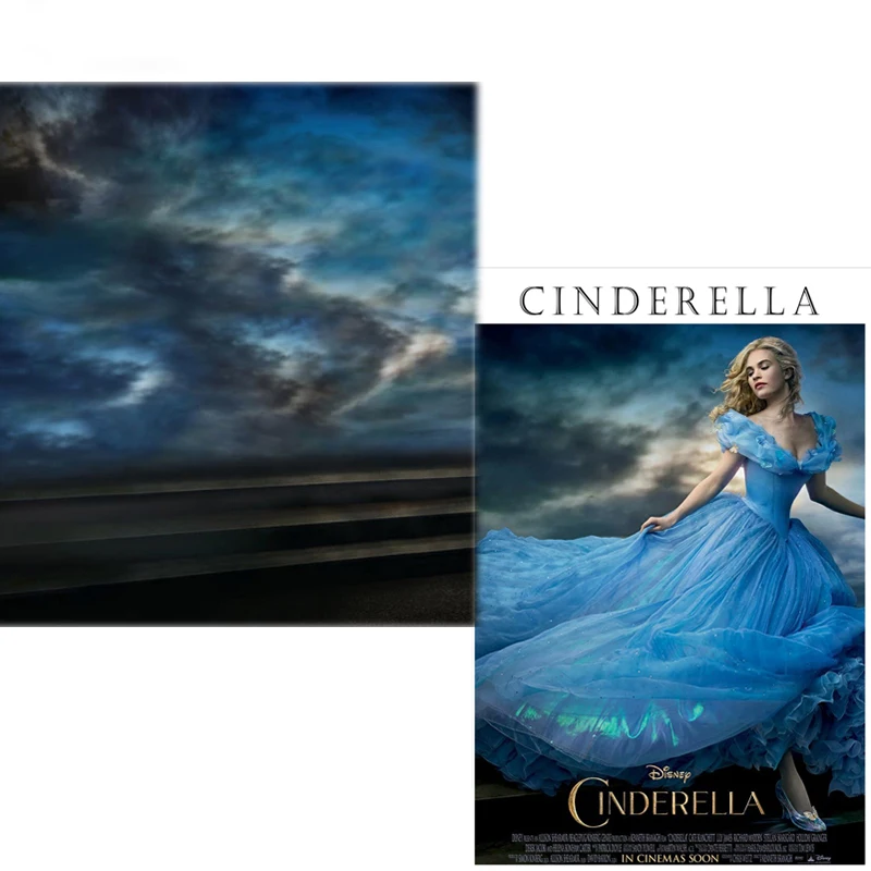 DAWNKNOW Vinyl Photography Backdrops Cinderella Fairy Tale Photocall Background Children Photo Studio Props Customize CM6744 | Электроника
