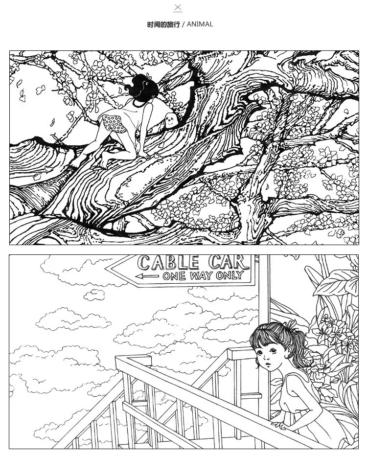 3055754786_725808522