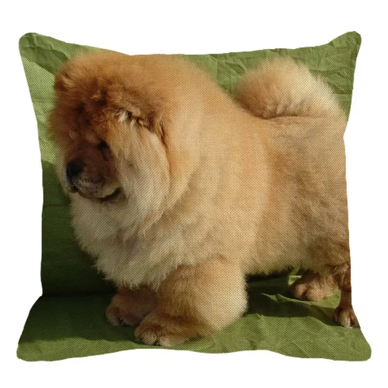 XUNYU Cute Pet Yellow Chow Chow Dog Cushion Cover Square Cushion Covers Home Decor Throw Pillowcases Linen Pillowcase B0053