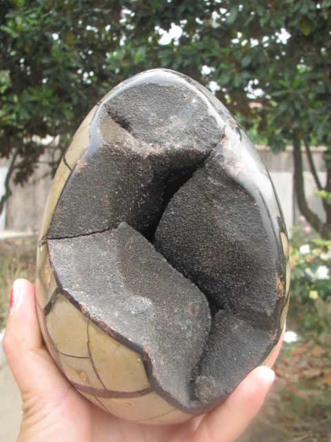 2575g Large Dragon Septarian Crystal Sphere Geode HealingA1