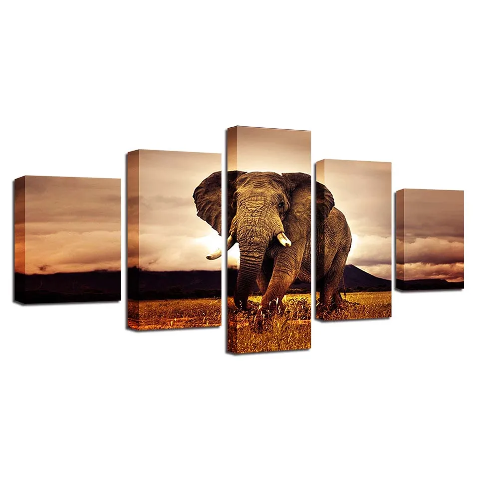 Pictures-Home-Decor-Canvas-5-Panel-Animal-Elephant-Modular-Framework-Painting-Top-Rated-Wall-For-Living (4)