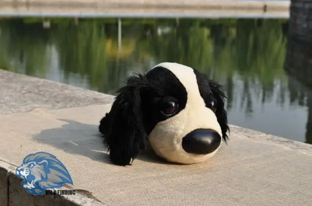 17++ Anjing puppy lucu info
