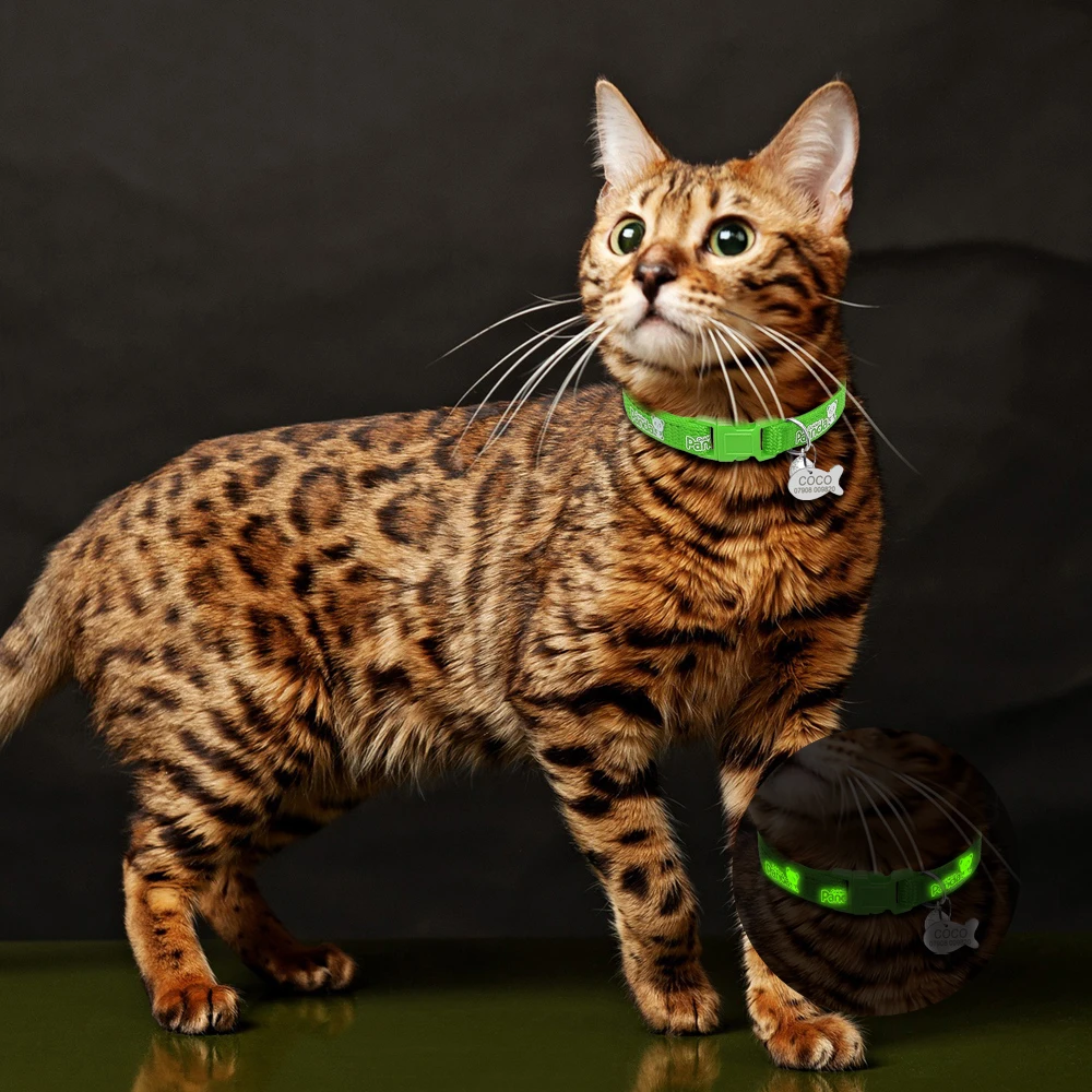 Fluorescence Cat Collar Customized Nylon Dog Cats Collars Personalized Cat Collar and Tags For Small Pets Kitten with Bell Fluorescence Cat Collar Customized Nylon Dog Cats Collars Personalized Cat Collar and Tags For Small Pets Kitten with Bell