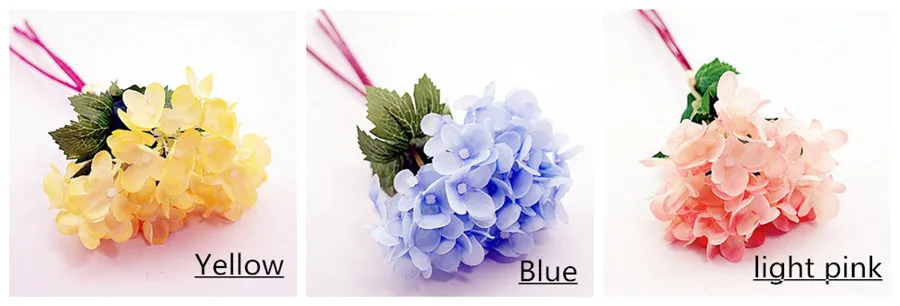 SAM_6328__