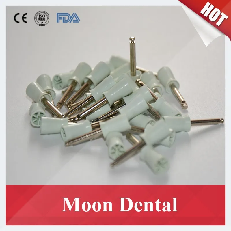 Dental Prophy Brush with Handle (3)