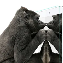 100 шт./лот закаленное Стекло Экран протектор Флим 2.5D 9 H 0.26 мм для Lenovo K3 K4 K5 K6 Примечание Vibe b c плюс C2 A1010 p1 p2