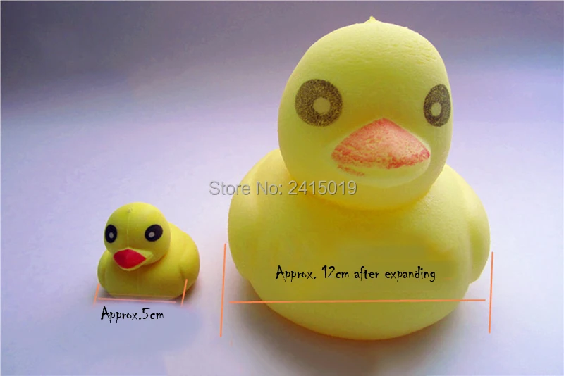 GROW IN WATER DUCK-4
