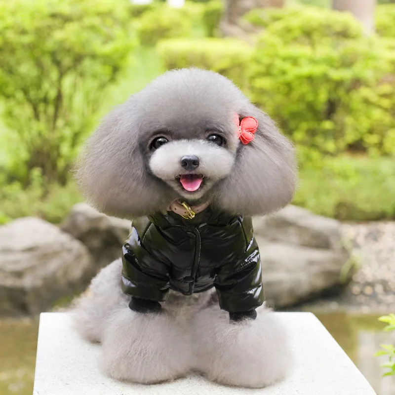 2017 autumn winter pet clothes high-quality cotton casual dogs pets clothing Cute cartoon panda Thicken cotton Hooded Dog coat