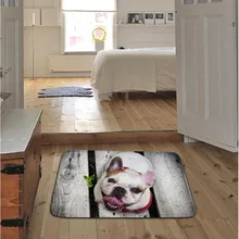 Зизи рыбы 3 Danimal мягкая ковровая зона ковер скольжению дверной коврик для спальня гостиная, не линяет, не уронить волосы