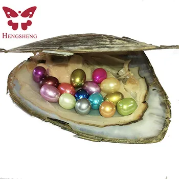 

HENGSHENG 1 PC Freshwater Cultured Pearl Oyster with Multi-Color 15 pcs 7-8 mm Large Oval Pearls Inside Party Gifts Love Wish