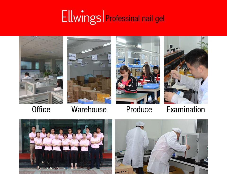 Ellwings__10